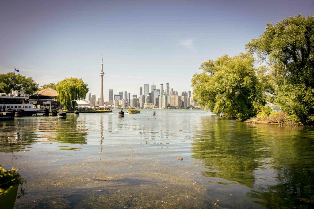 Toronto -3